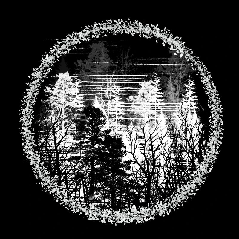 Cercle de la forêt Silhouette Paysage forestier