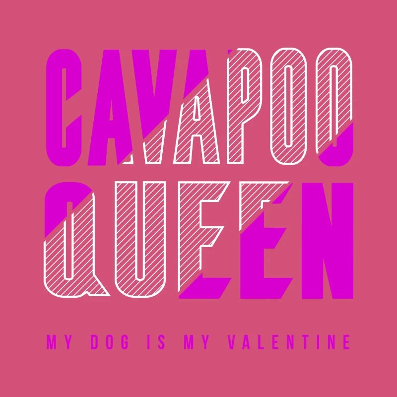 Cavapoo Queen