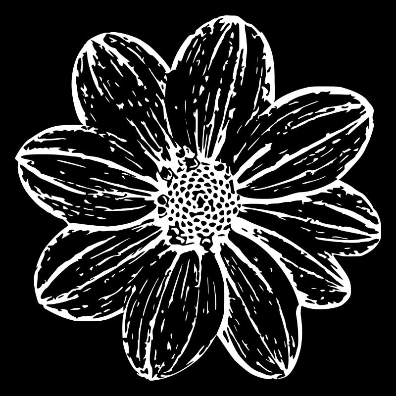Fleur, Blanc, Fleur Blanche