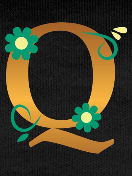 Q