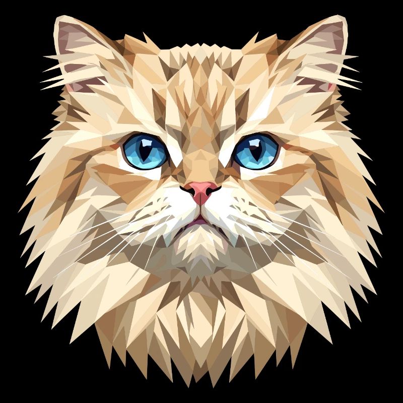 Chat perse Chat persan Chat persan Chat perse Chats mignons