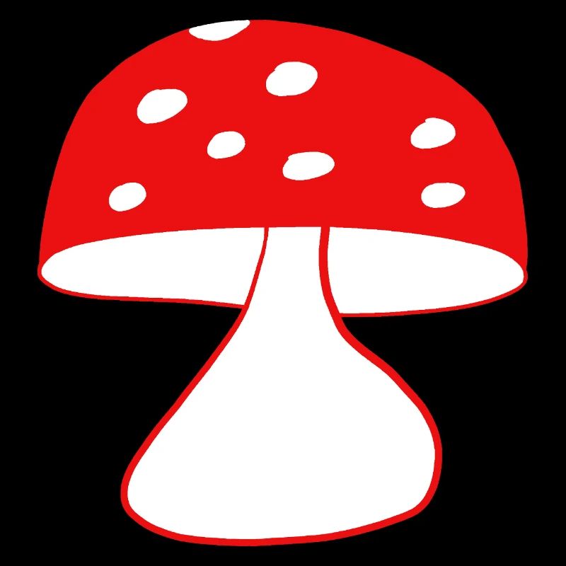 Red fly agaric mushrooms