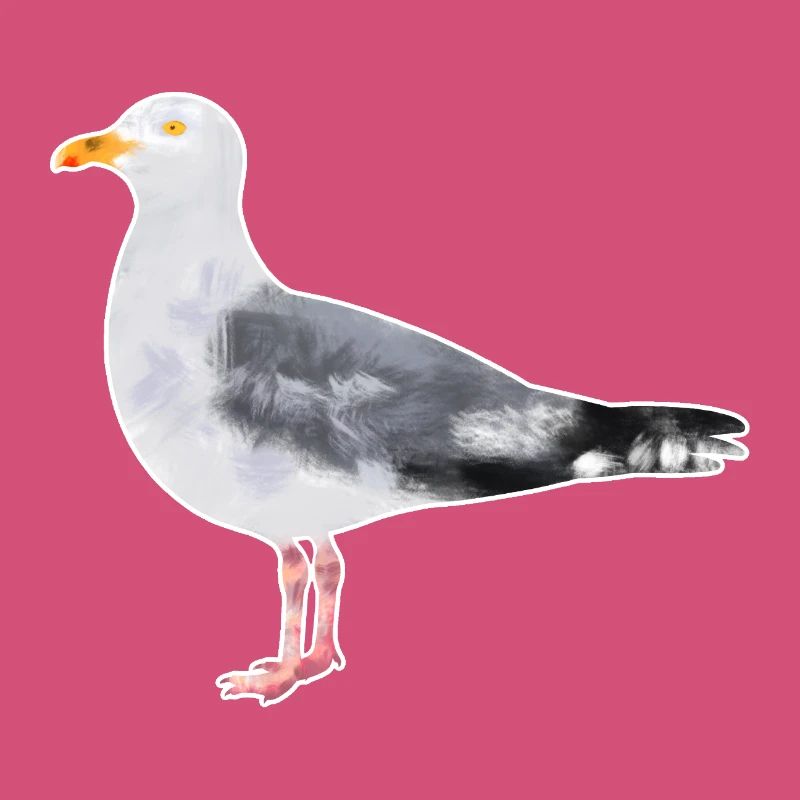 Silbermöve.1