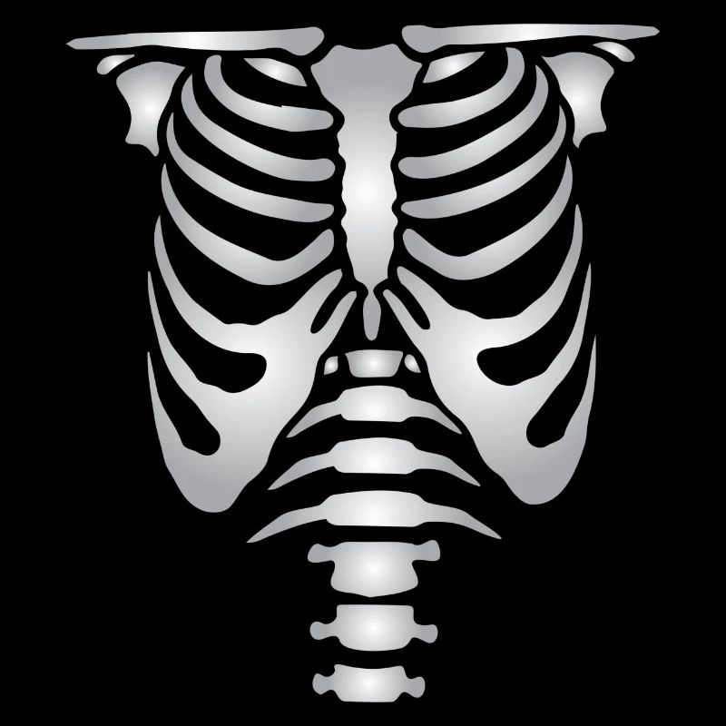 Human skeleton bones torso