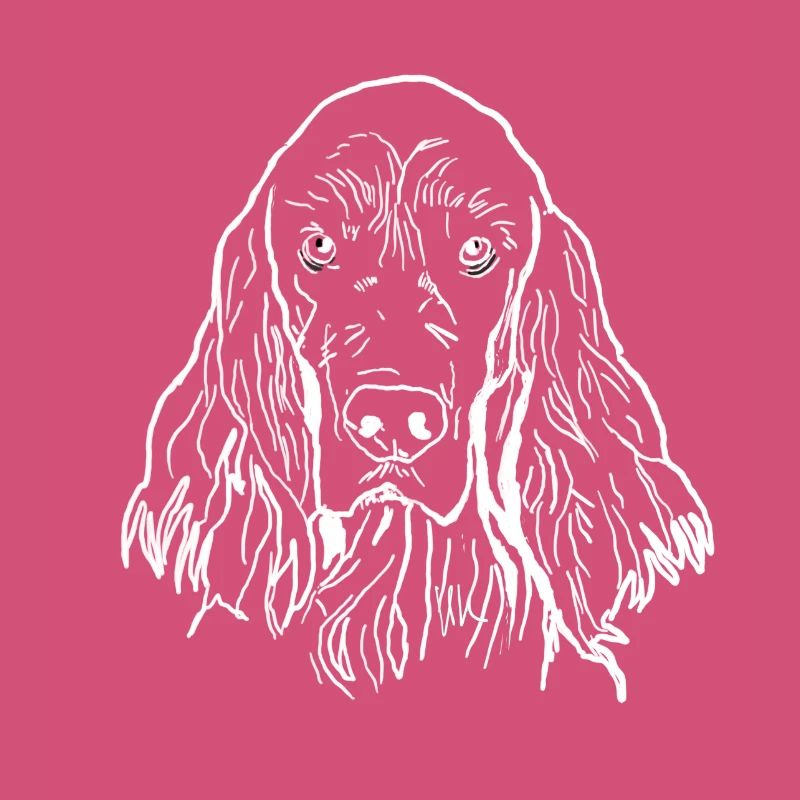 Irish Setter