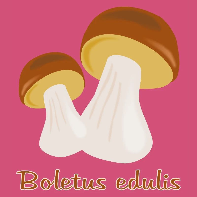 Champignons d’automne