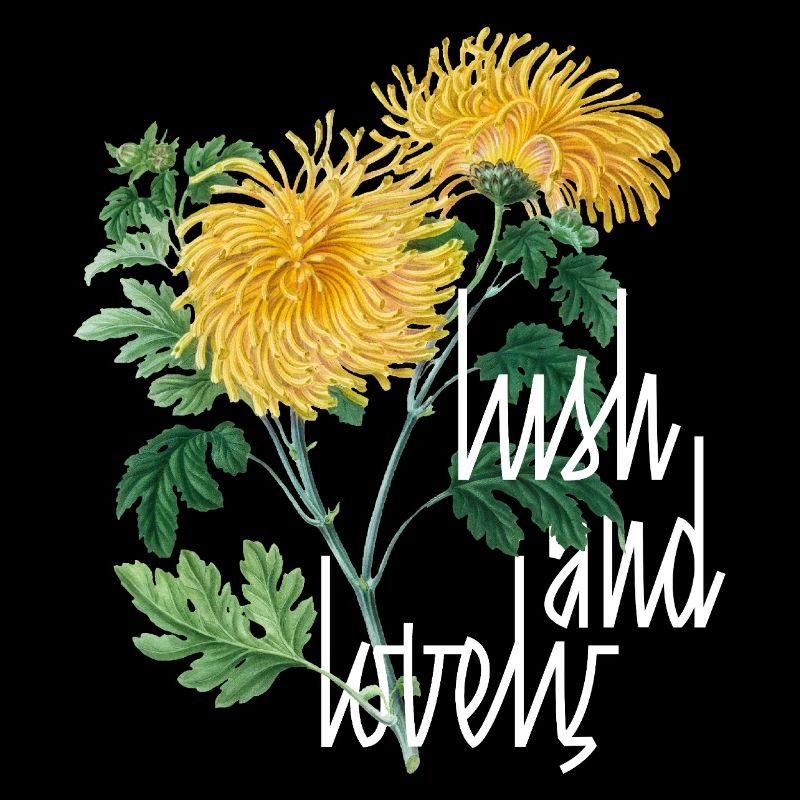 Chrysanthèmes luxuriants et charmants