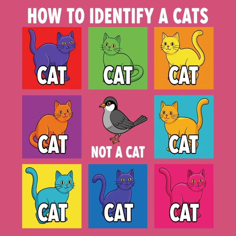 Cat Identification Guide