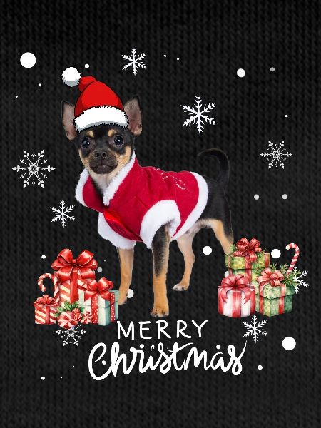 Chien Noël