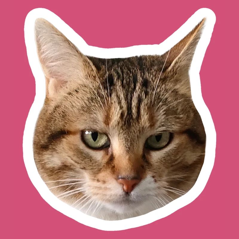 Missty sticker triste