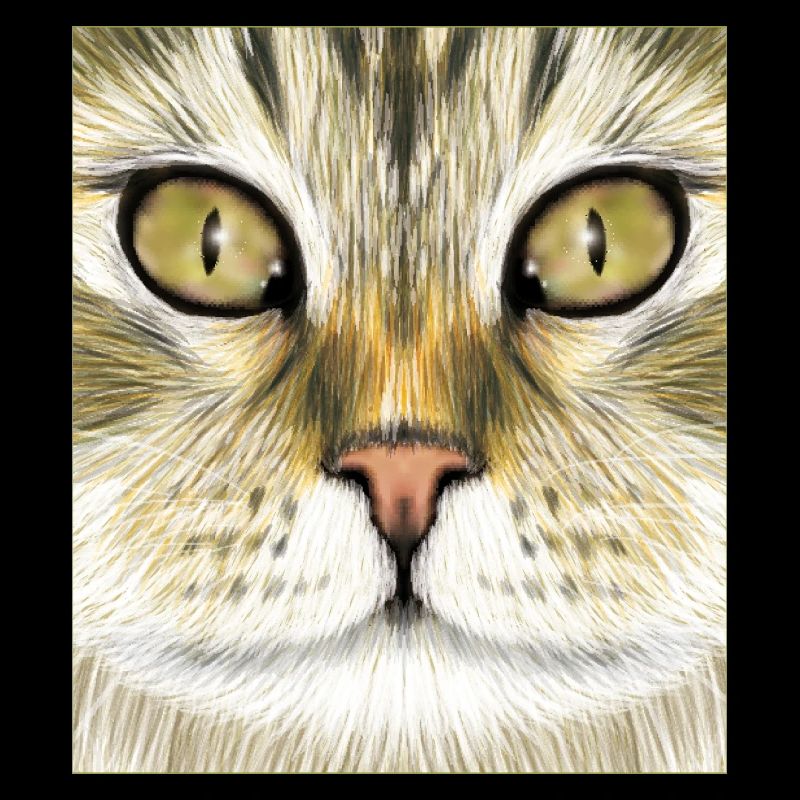 Chat des forêts norvégiennes