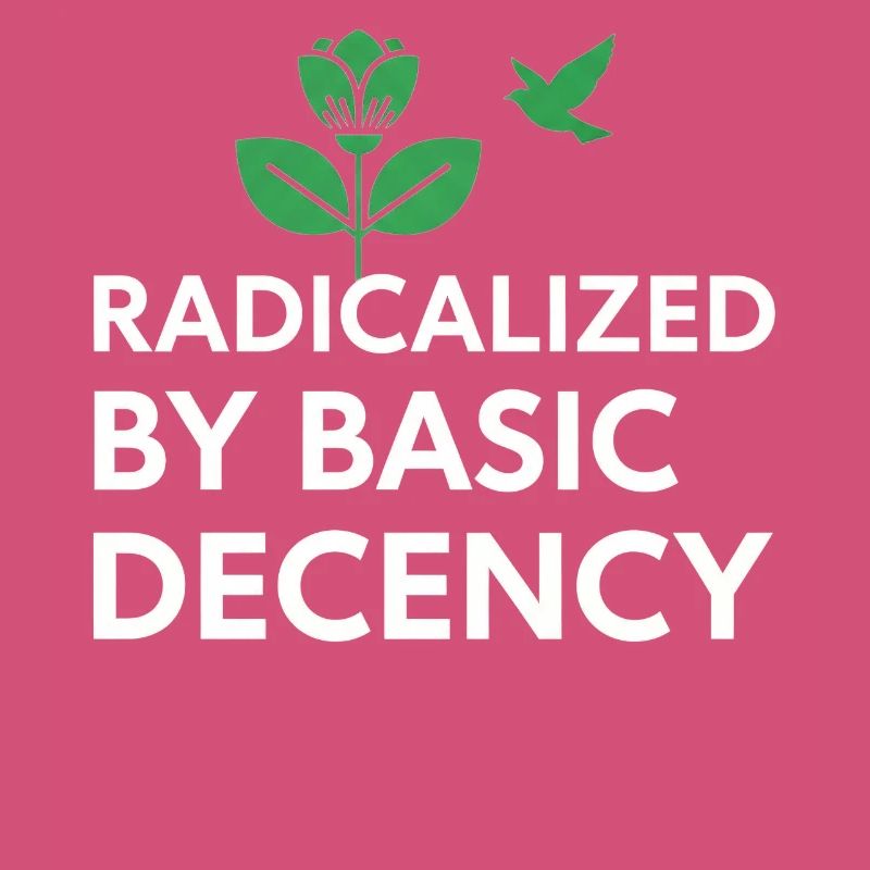 Radicalized By Basic Decency Statement shirt decal