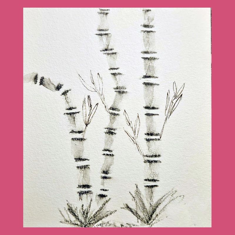 Bamboo Drawing in Ink Style