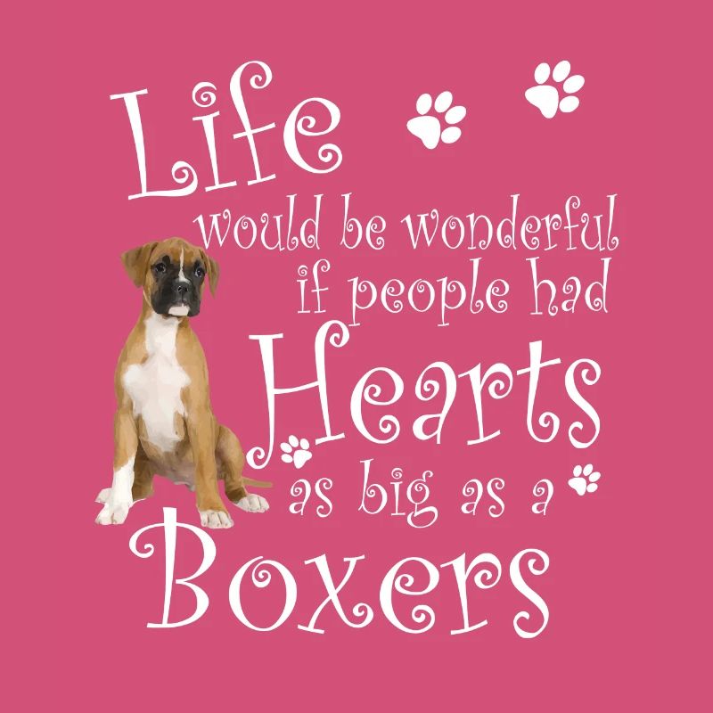 Boxer-Hundeherz so groß wie ein Boxer