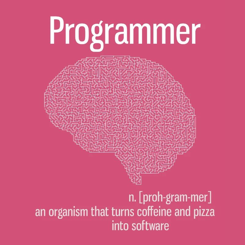 Programmeur cerveau PC ordinateur définition pizza lo