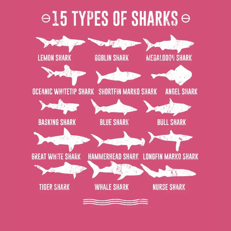 Requins - 15 types de requins