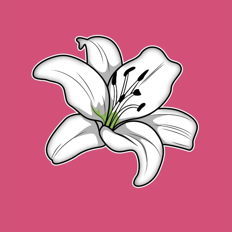 Élégante fleur de lys blanc