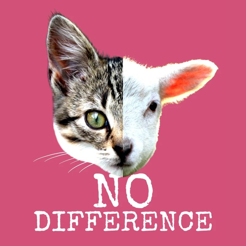 No Difference Pro Vegan Spruch Vegetarier Katzen