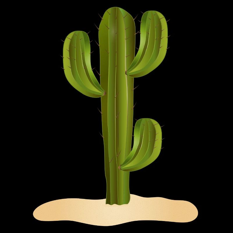 Grand cactus vert dans le désert dans le sable