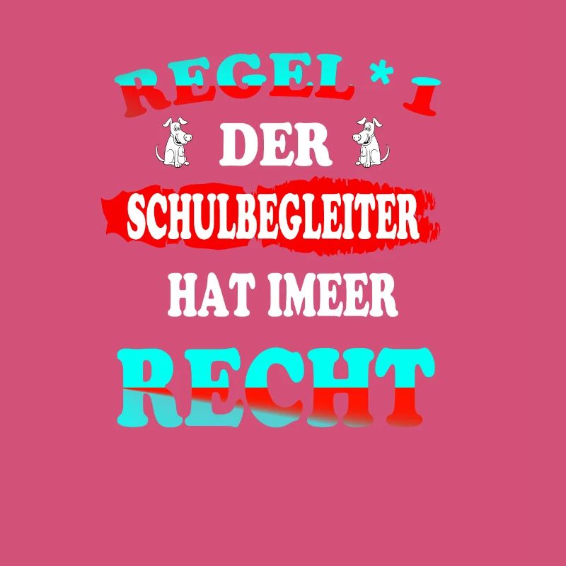 Regel 1 Der Schulbegleiter hat immer Recht