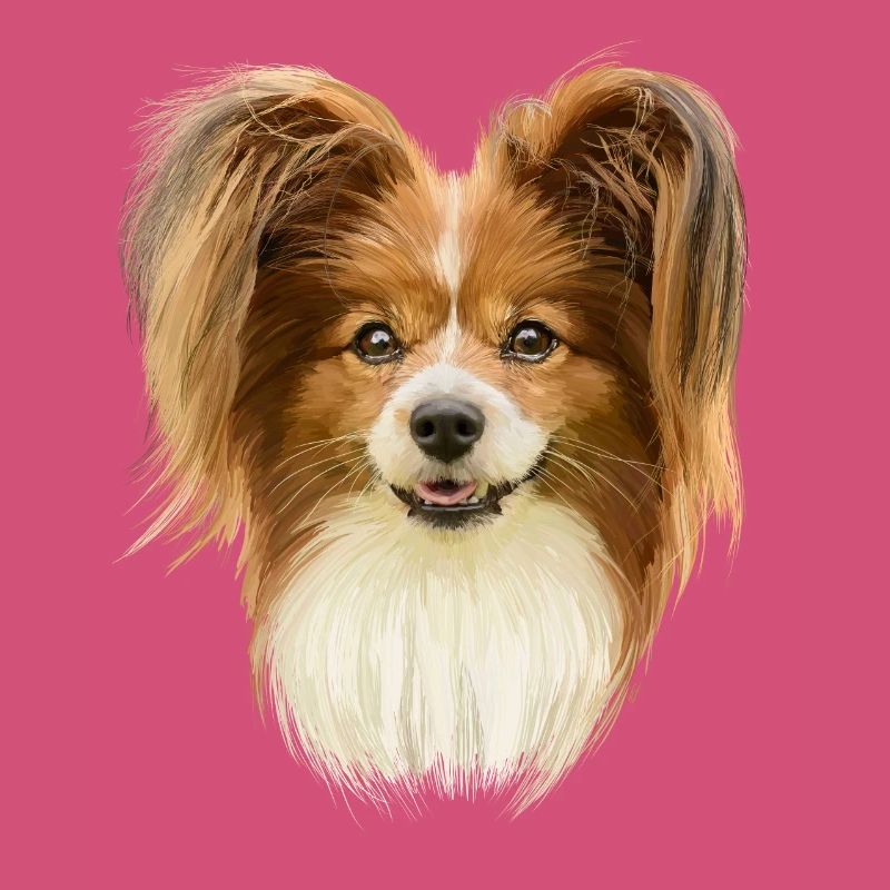 Papillon