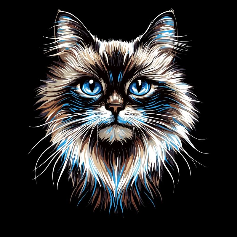Ragdoll Katze Ragdollkatze Cat Süße Ragdoll Katzen