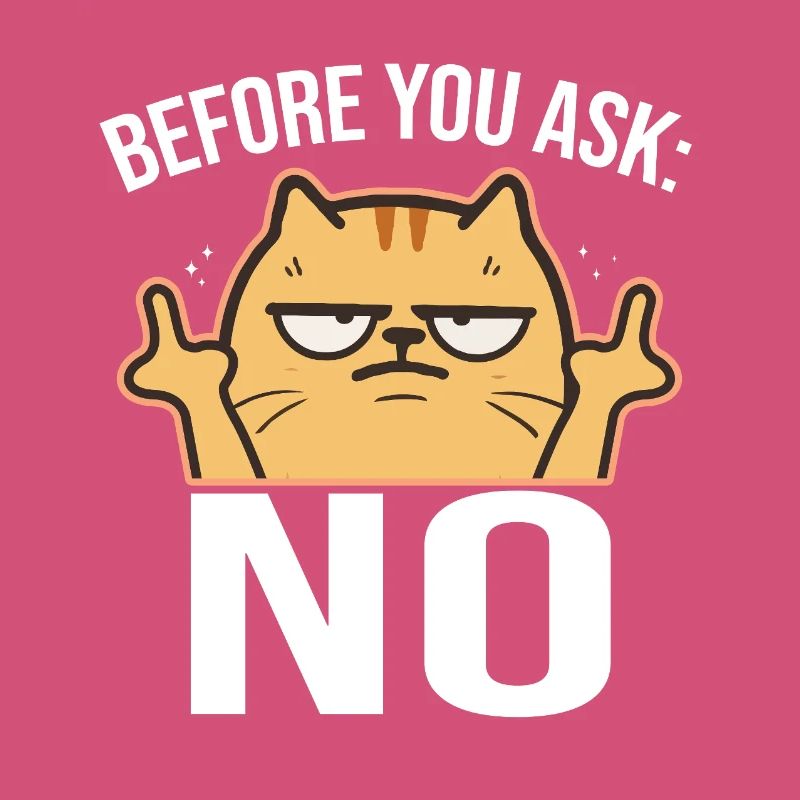 Chat effronté avec le majeur NON