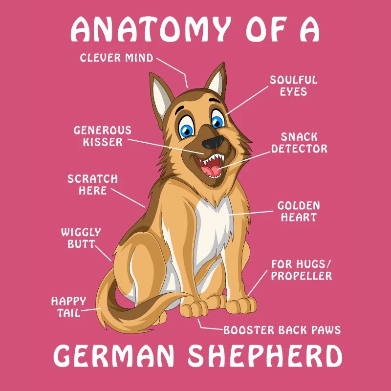 German Shepherd Anatomy