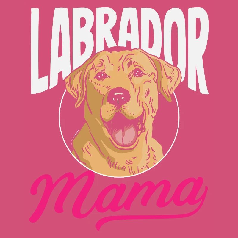 Labrador Tricks
