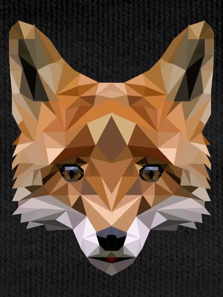 renard polygonal