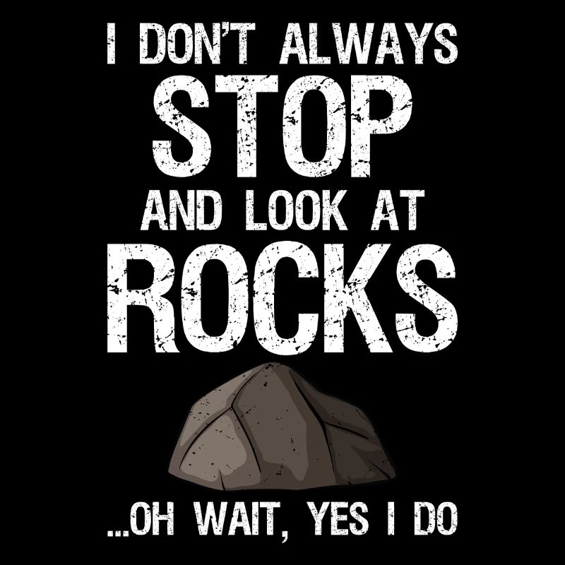 I Don't Always Stop And Look At Rocks Funny Lapida