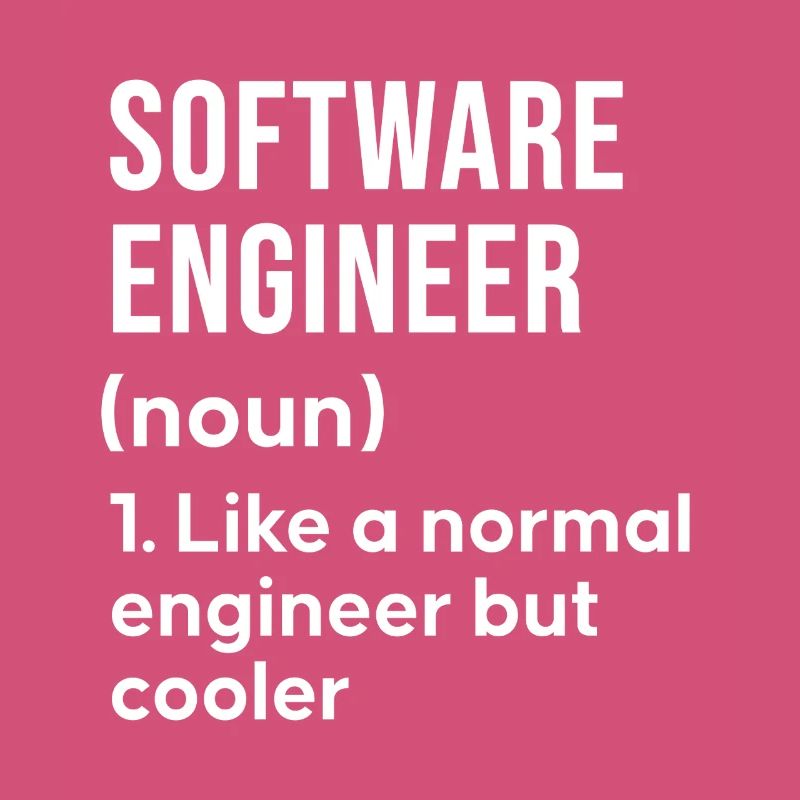 Software Engineer Spruch Shirt