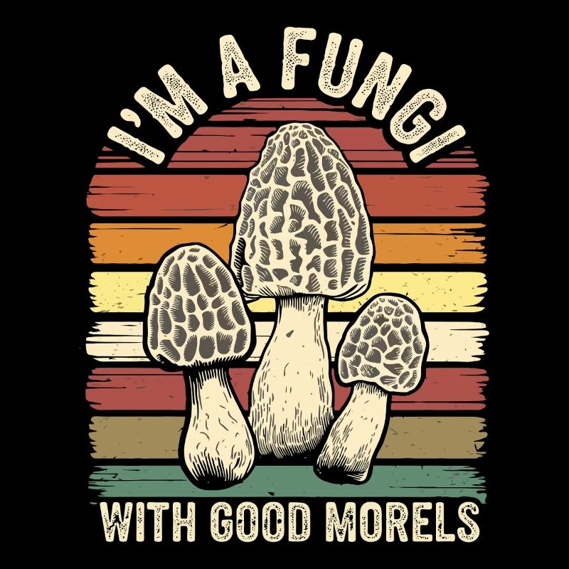 Je suis un champignon avec de bonnes morilles.
