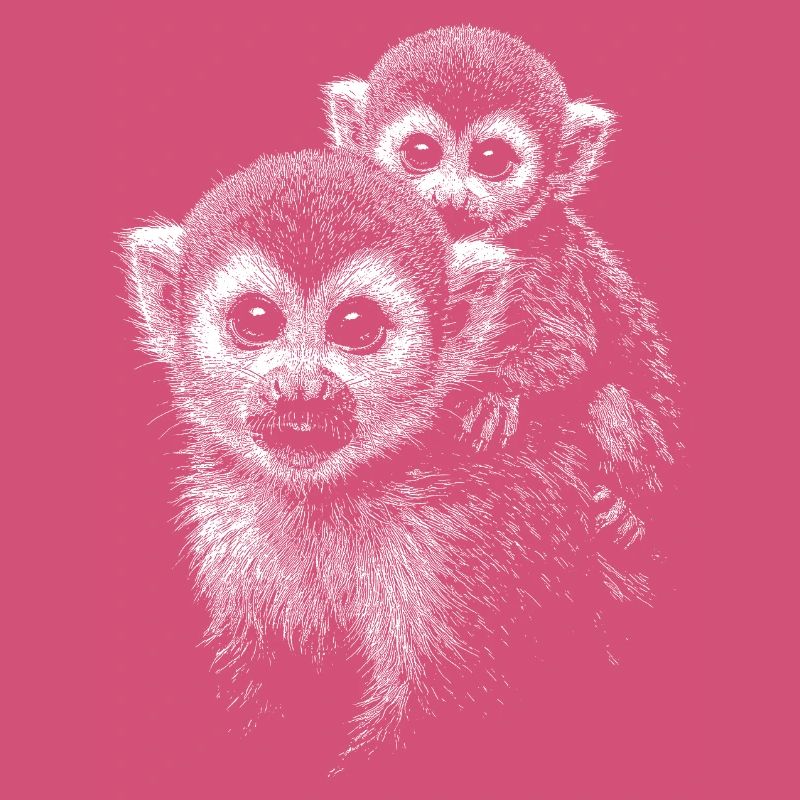 Squirrel monkey