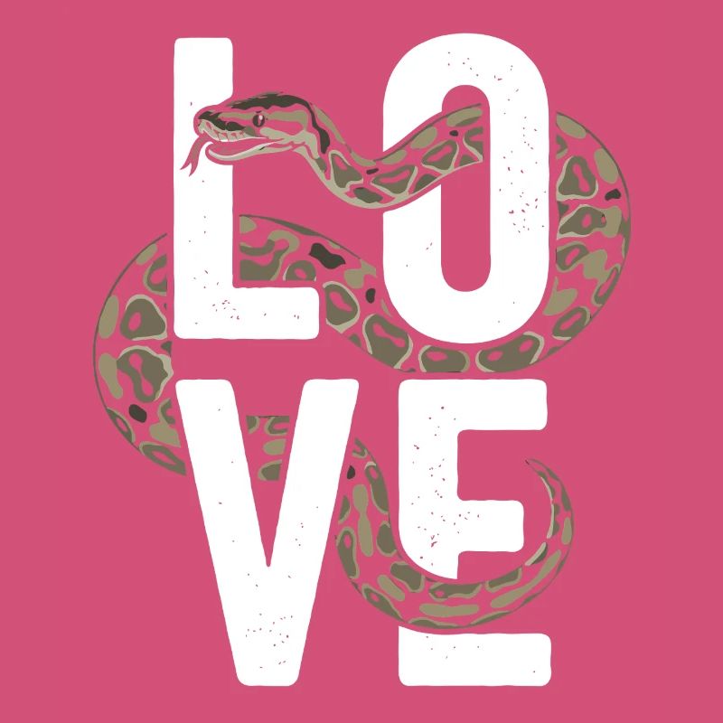 King Python Snakes LOVE Terrarium Python