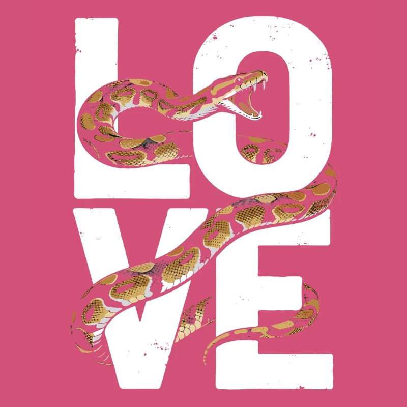 Les serpents rois Python ADORENT les pythons de terrarium