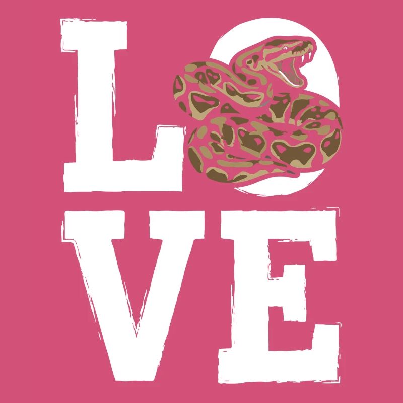 Les serpents rois Python ADORENT les pythons de terrarium