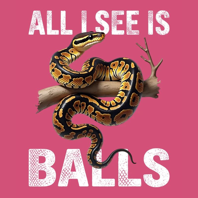 Python roi Serpents Amateurs de terrarium Python