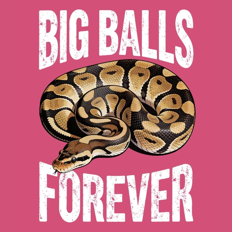 Python roi Serpents Amateurs de terrarium Python