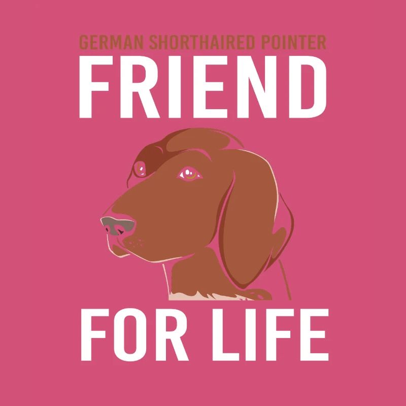 German Pointer Hund Deutsch Kurzhaar