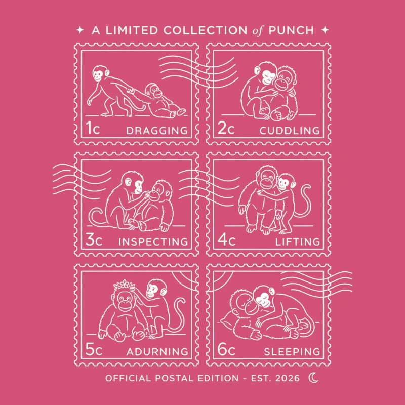 Tampons Bébé Singe Punch