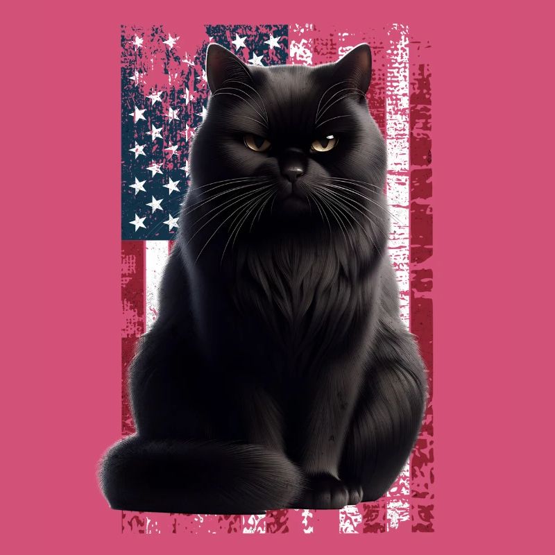 Grumpy Black Cat US Schwarze Katze