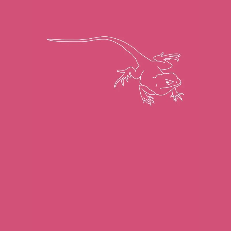 lizard