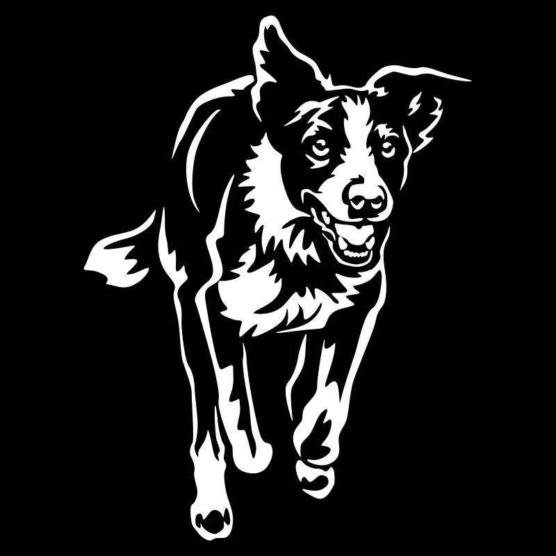 Border Collie "Black Edition"