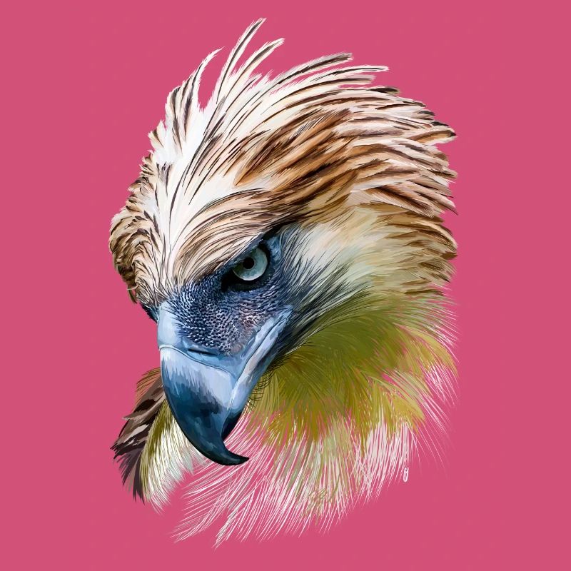 Aigle