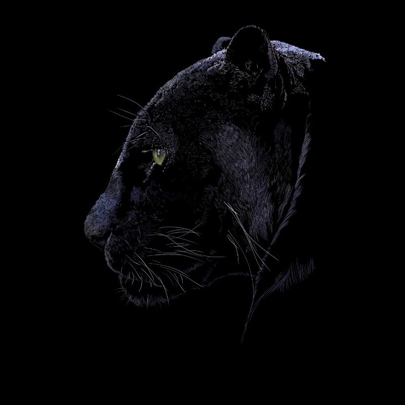 Panther