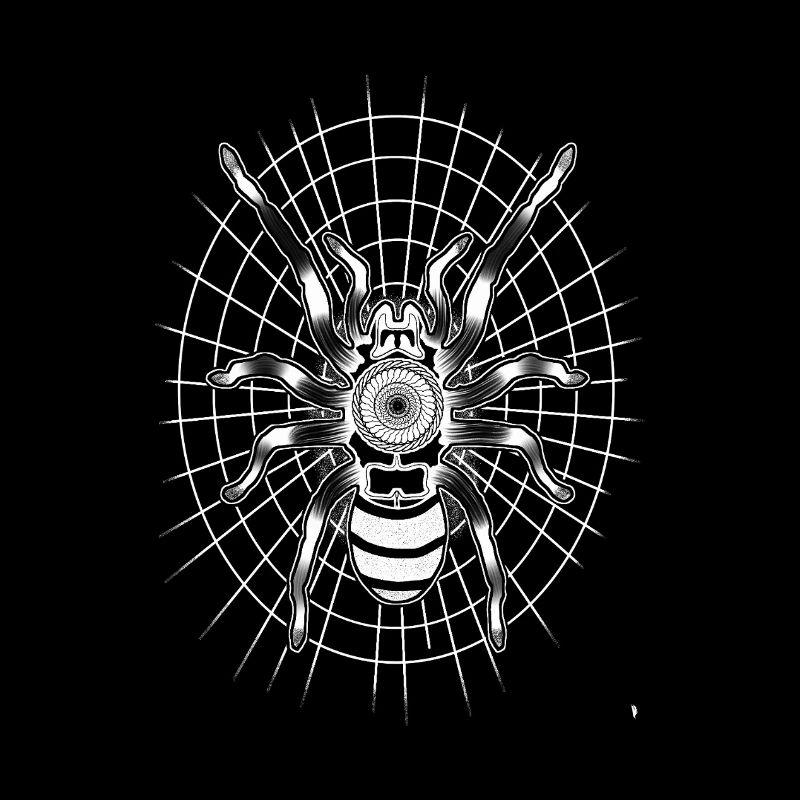 Spider on a round spider web