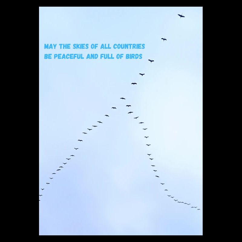 Birds in the sky