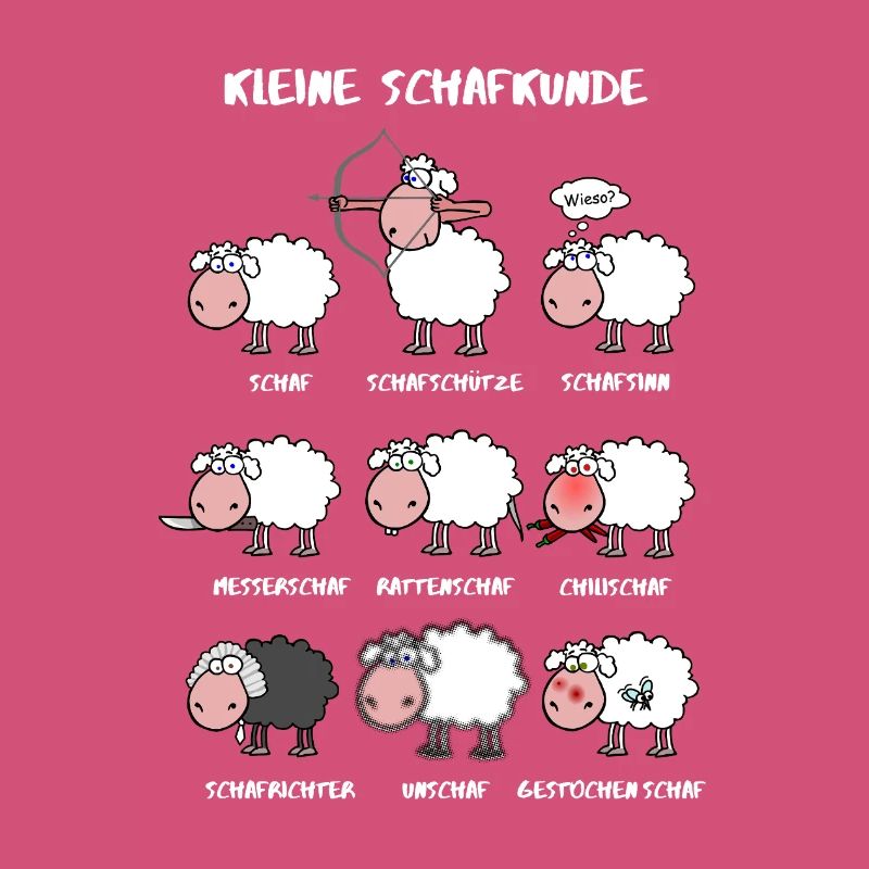 A little sheep knowledge