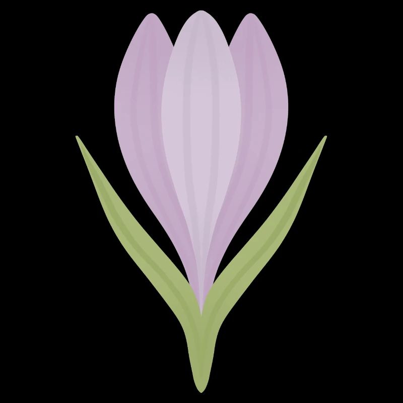 Illustration de la fleur de crocus lilas